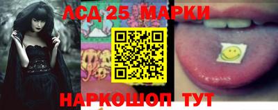 шишки Ставрополь