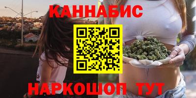 шишки Ставрополь