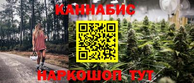 шишки Ставрополь